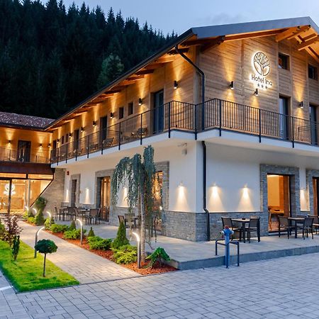 Hotel Ina Borsa  Exterior photo