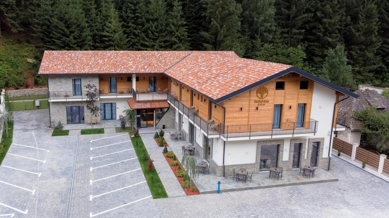 Hotel Ina Borsa  Exterior photo